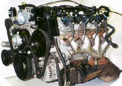 ls11s.jpg (22583 bytes)
