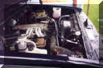 truck.jpg (28105 bytes)